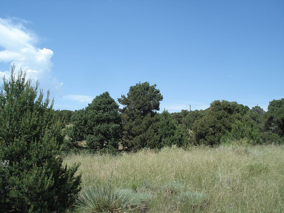2nd image of LOT 5 Pinon Hills Ests #1
