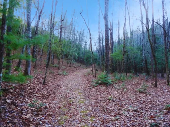 23 Shelton Springs Dr #S/d, Hayesville, NC 28904