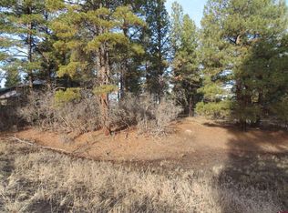 195 Handicap Ave, Pagosa Springs, CO 81147
