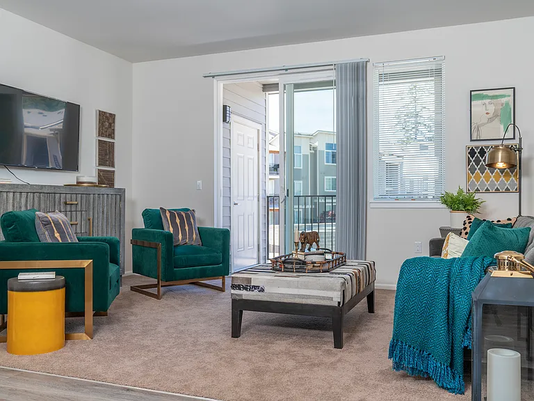 1x1 Deluxe l Model Living Room + Balcony