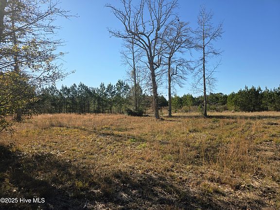 5th image of 310 Lays Lake Drive LOT A
