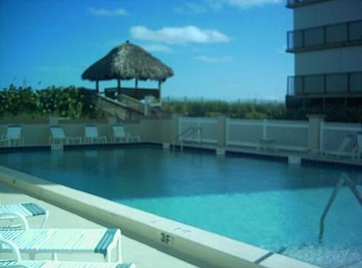 pool and tiki hut