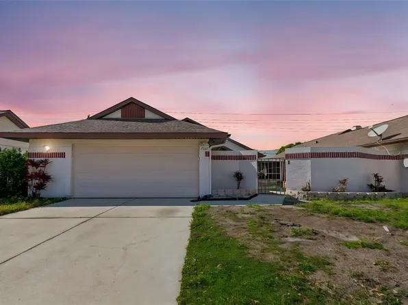 7123 Silvermill Dr, Tampa, FL 33635