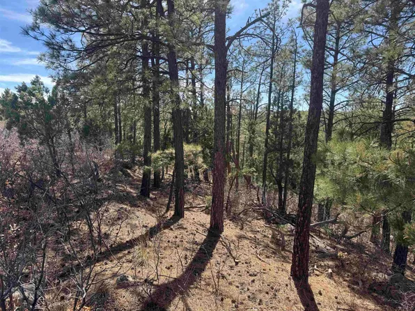 4 Trinidad Ave, Timberon, NM 88350