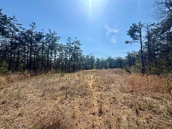 4th image of 231 County Rd