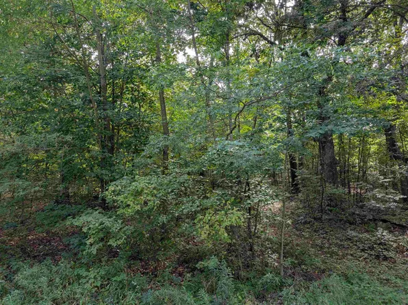 0 Raedel Ln, Wisconsin Dells, WI 53965