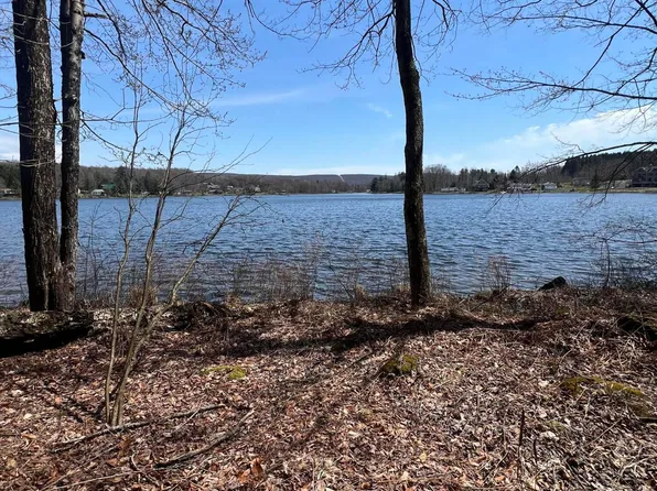 L1 Foster Rd, Union Dale, PA 18470