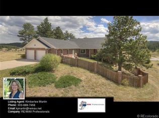 46 Bull Dogger Ct, Bailey, CO 80421