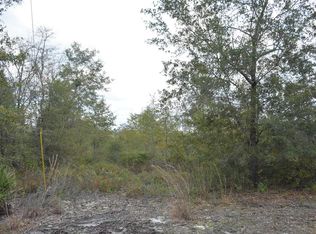 NE County Line Rd, Ludowici, GA 31316