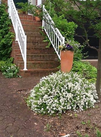 Entrance Stairs