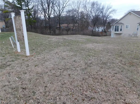 12007 Parker Estates Ct, Florissant, MO 63033