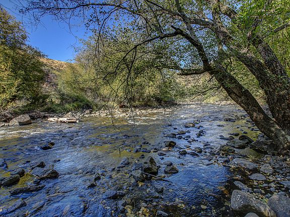 Fish from your own backyard