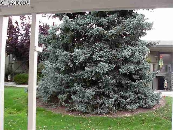 5th image of 2581 Pine Knoll Dr Unit 2