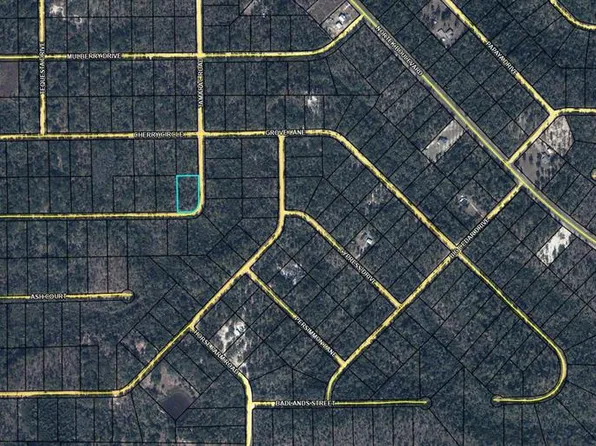 TBD TAMARAC ROAD LOT 11, MARIANNA, FL 32448