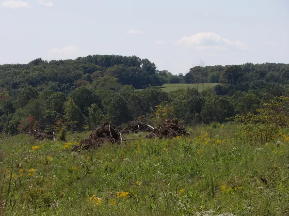 LOT 55 Summer City Rd, Evensville, TN 37332