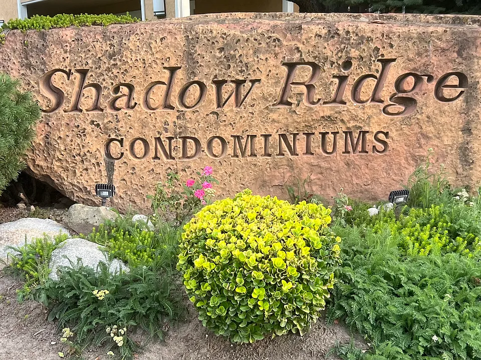 7174 S Shadow Ridge Dr #11