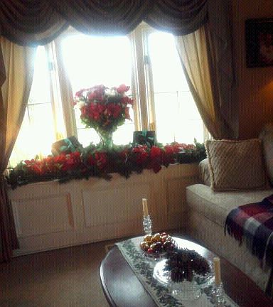 Bay Window in Family Room