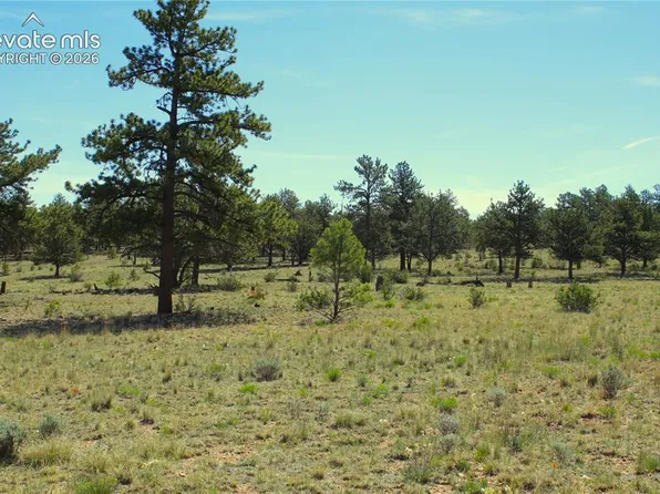 31572 Highway 9, Hartsel, CO 80449