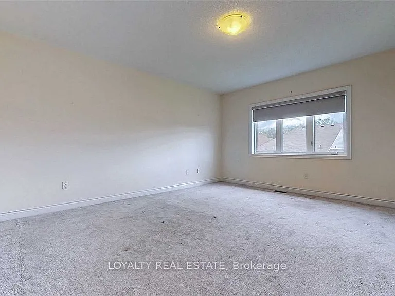 11 Mayapple Ln — Photo 29