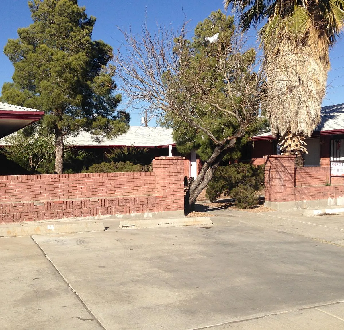 4027 Johnson Ave — Photo 4