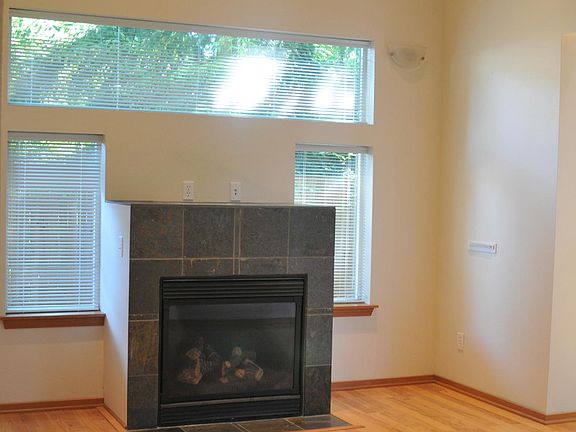 gas fireplace