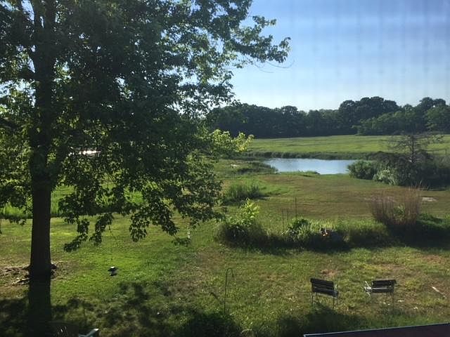 Rear yard View