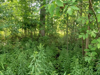 N A E Huron Rd, Au Gres, MI, 48703