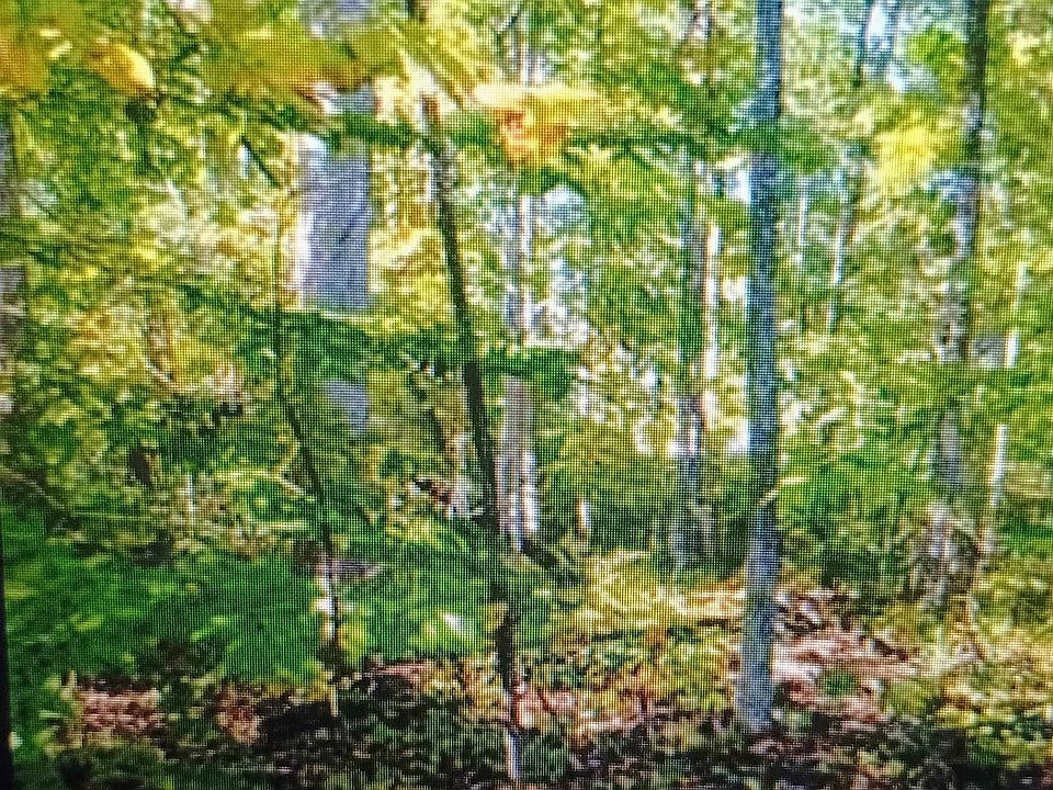1st image of LOT 1154 Ferndale Dr