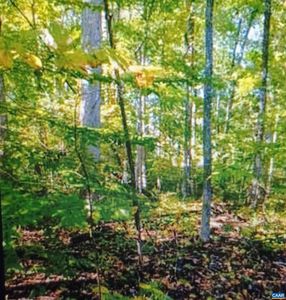 LOT 1154 Ferndale Dr, Louisa, VA, 23093