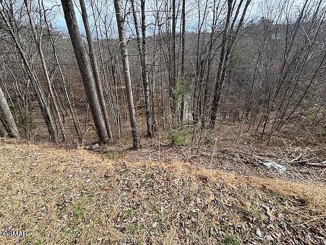 1st image of 444 Sky View Dr