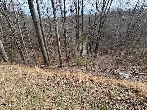444 Sky View Dr, Sevierville, TN 37876