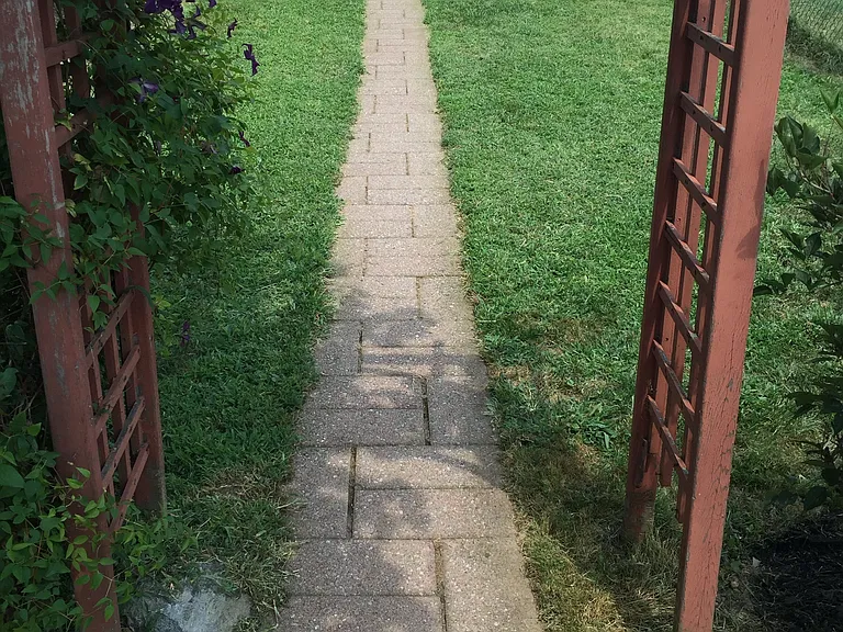 fenced in backyard