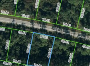 8621 Capilla St, Sebring, FL 33872