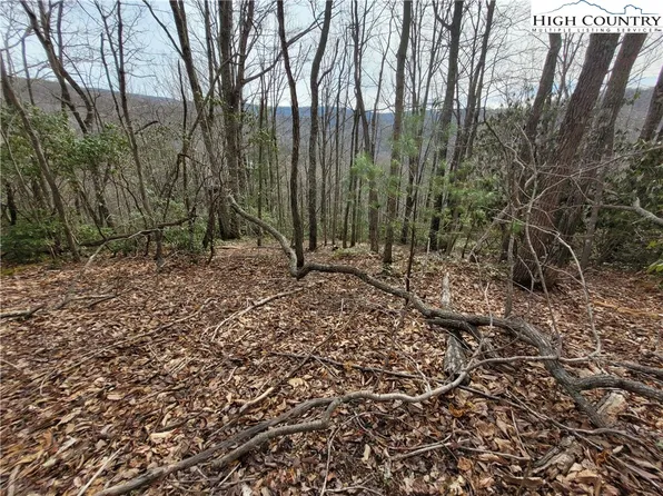 1138 Pine Ridge Road, Beech Mountain, NC 28604