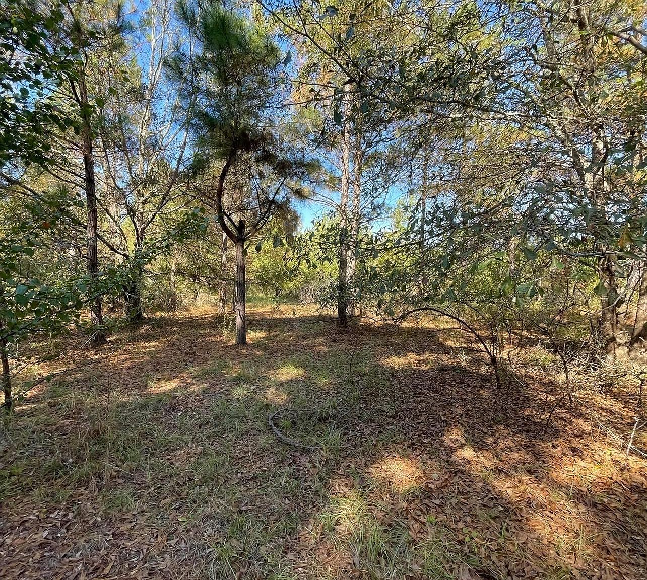 110 Willow Creek Blvd, Lugoff, SC 29078 MLS 571197 Zillow