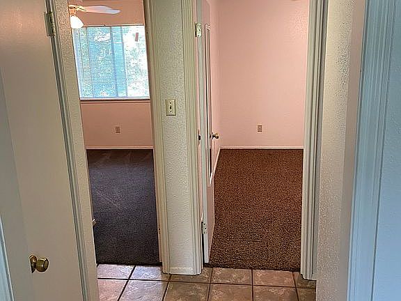 2nd image of 114 Lady Bird Ln APT 3