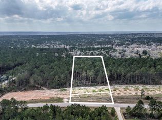 15583 Forest Grove Dr, Willis, TX 77378