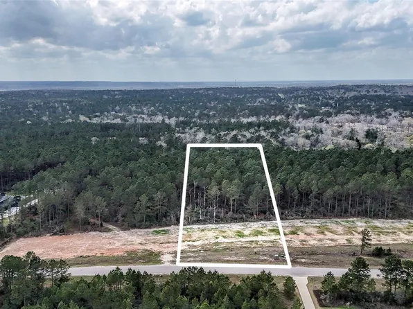 15583 Forest Grove Dr, Willis, TX 77378