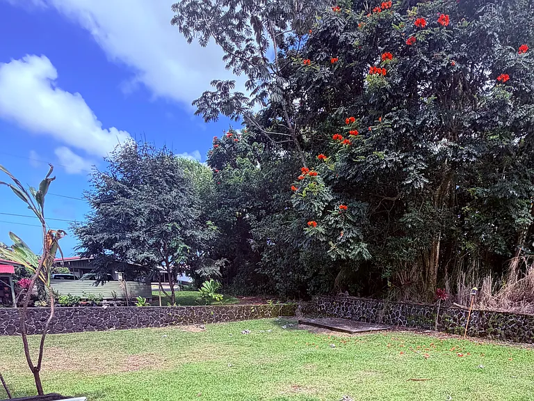 W Puainako St — Photo 15
