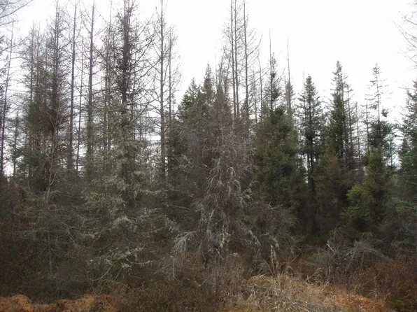 Off Lenz Road Acres #40, Glidden, WI 54527