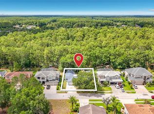 12912 Starling Dr, Odessa, FL 33556