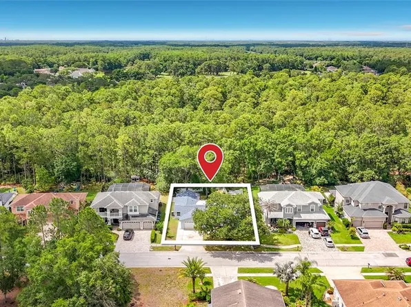 12912 Starling Dr, Odessa, FL 33556