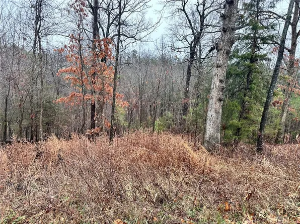 Gum Ln #1040, Rogers, AR 72756