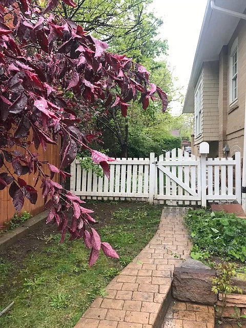 10th St, Boulder — Photo 3