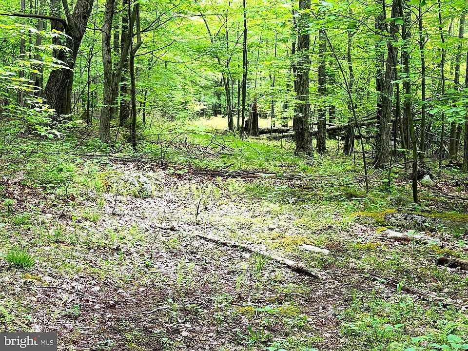 1st image of 4 Wilderness Dr