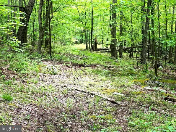 4 Wilderness Dr, Maysville, WV 26833