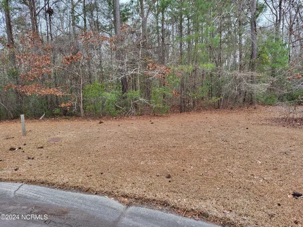 1203 Mandevilla Drive SE, Bolivia, NC 28422