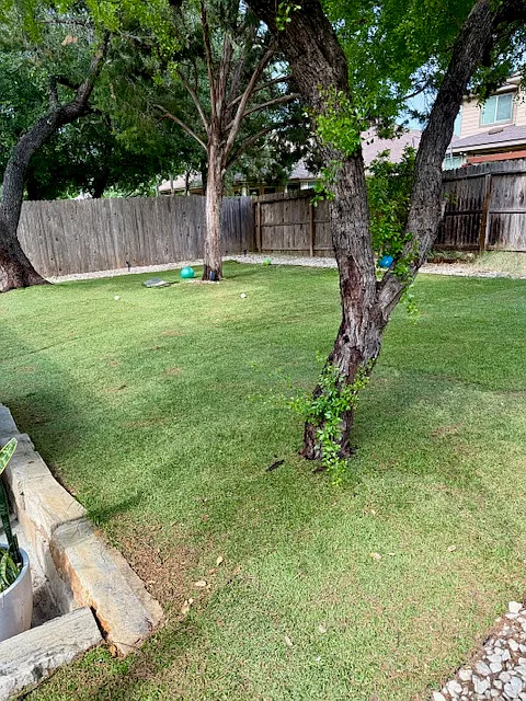 3 bed, 2157 sqft, $2,100 — Photo 3