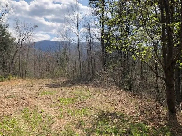 0 Lower Sawyers Crk, Robbinsville, NC 28771