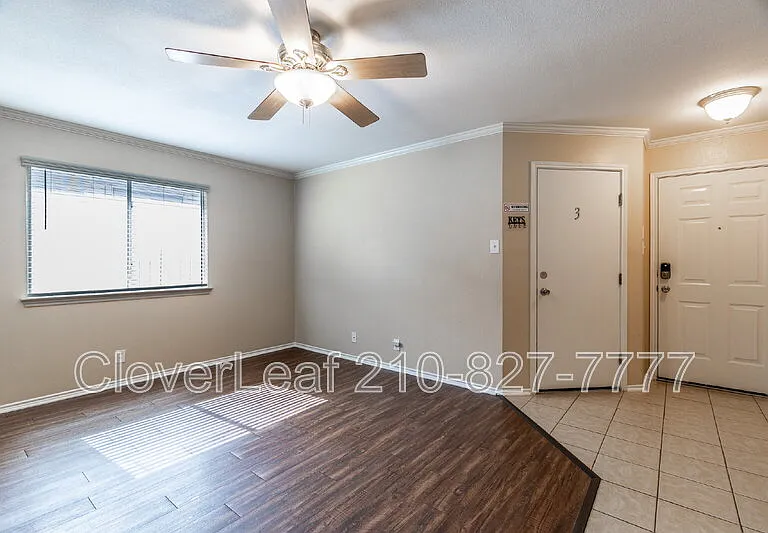 10343 Lion Chase — Photo 7